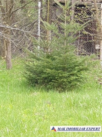 casa-stil-cu-6-camere-si-teren-de-3000-mp-de-vanzare-poienarii-de-muscel-arges-34