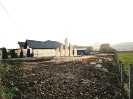 teren-intravilan-de-vanzare-micesti-4