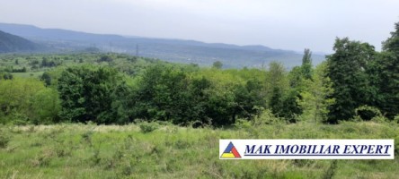 teren-extravilan-8983-mp-poienarii-de-muscel-arges-ideal-pentru-agricultura-proiecte-rurale-3