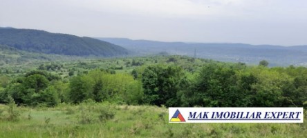 teren-extravilan-8983-mp-poienarii-de-muscel-arges-ideal-pentru-agricultura-proiecte-rurale-4