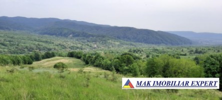 teren-extravilan-8983-mp-poienarii-de-muscel-arges-ideal-pentru-agricultura-proiecte-rurale-5