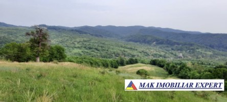 teren-extravilan-8983-mp-poienarii-de-muscel-arges-ideal-pentru-agricultura-proiecte-rurale-6
