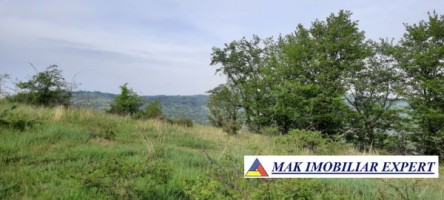 teren-extravilan-8983-mp-poienarii-de-muscel-arges-ideal-pentru-agricultura-proiecte-rurale-7