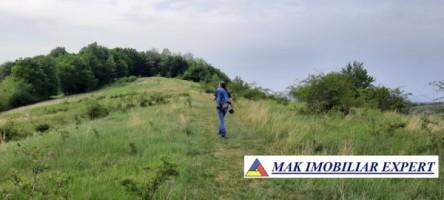 teren-extravilan-8983-mp-poienarii-de-muscel-arges-ideal-pentru-agricultura-proiecte-rurale-8