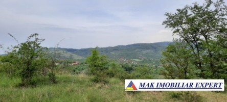 teren-extravilan-8983-mp-poienarii-de-muscel-arges-ideal-pentru-agricultura-proiecte-rurale-9