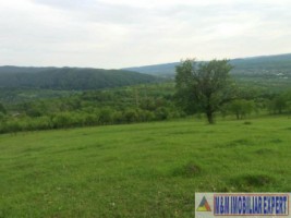 teren-extravilan-8983-mp-poienarii-de-muscel-arges-ideal-pentru-agricultura-proiecte-rurale