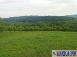 teren-extravilan-8983-mp-poienarii-de-muscel-arges-ideal-pentru-agricultura-proiecte-rurale-1