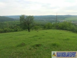 teren-extravilan-8983-mp-poienarii-de-muscel-arges-ideal-pentru-agricultura-proiecte-rurale-2