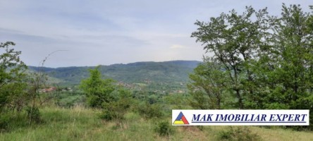 teren-extravilan-8983-mp-poienarii-de-muscel-arges-ideal-pentru-agricultura-proiecte-rurale-10