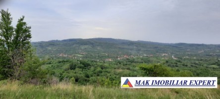 teren-extravilan-8983-mp-poienarii-de-muscel-arges-ideal-pentru-agricultura-proiecte-rurale-11