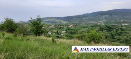 teren-extravilan-8983-mp-poienarii-de-muscel-arges-ideal-pentru-agricultura-proiecte-rurale-12