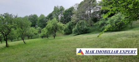 teren-extravilan-8983-mp-poienarii-de-muscel-arges-ideal-pentru-agricultura-proiecte-rurale-13