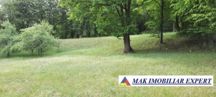 teren-extravilan-8983-mp-poienarii-de-muscel-arges-ideal-pentru-agricultura-proiecte-rurale-14