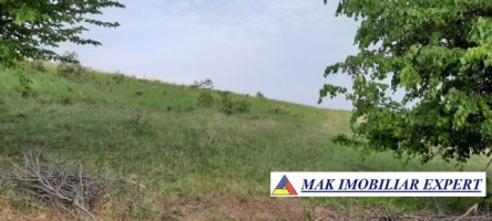 teren-extravilan-8983-mp-poienarii-de-muscel-arges-ideal-pentru-agricultura-proiecte-rurale-15
