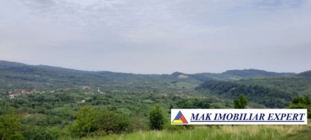 teren-extravilan-8983-mp-poienarii-de-muscel-arges-ideal-pentru-agricultura-proiecte-rurale-16