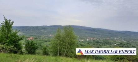 teren-extravilan-8983-mp-poienarii-de-muscel-arges-ideal-pentru-agricultura-proiecte-rurale-17