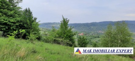 teren-extravilan-8983-mp-poienarii-de-muscel-arges-ideal-pentru-agricultura-proiecte-rurale-18