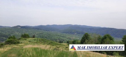 teren-extravilan-8983-mp-poienarii-de-muscel-arges-ideal-pentru-agricultura-proiecte-rurale-19