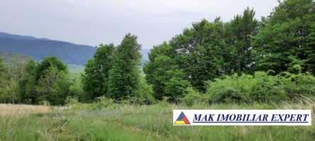 teren-extravilan-8983-mp-poienarii-de-muscel-arges-ideal-pentru-agricultura-proiecte-rurale-20