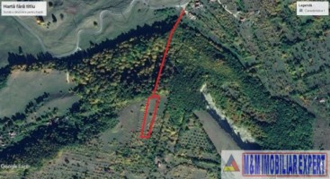 teren-extravilan-8983-mp-poienarii-de-muscel-arges-ideal-pentru-agricultura-proiecte-rurale-24