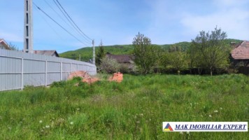 teren-intravilan-1600-mp-de-vanzare-schitu-golesti-arges-ideal-pentru-constructii-rezidentiale-sau-cabana-de-vacanta