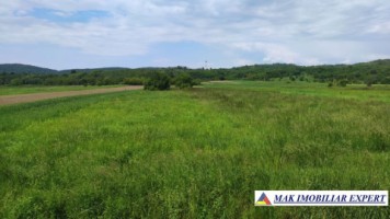 teren-intravilan-1600-mp-de-vanzare-schitu-golesti-arges-pentru-constructii-rezidentiale-sau-de-vacanta-2
