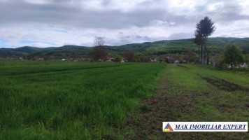 teren-intravilan-2000-mp-de-vanzare-schitu-golesti-arges-pentru-constructii-rezidentiale-sau-de-vacanta-1