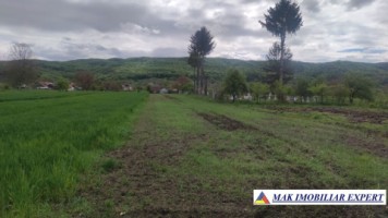 teren-intravilan-2000-mp-de-vanzare-schitu-golesti-arges-pentru-constructii-rezidentiale-sau-de-vacanta-3