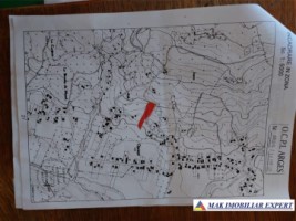 teren-intravilan-5415-mp-de-vanzare-stalpeni-arges-1