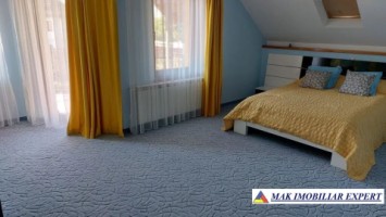 vand-vila-4-camere-cu-teren-de-4000-mp-stalpeni-arges-3