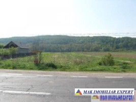 teren-intravilan-de-1-ha-in-titesti-arges-ideal-pentru-dezvoltare-rezidentiala-sau-comerciala