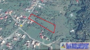 teren-intravilan-de-5500-mp-de-vanzare-valea-mare-pravat-arges-6