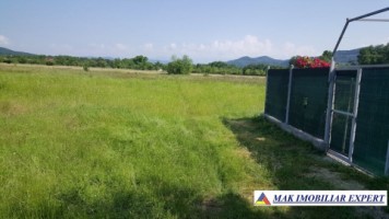 teren-extravilan-8000-mp-in-vladesti-arges-ideal-pentru-investitii-agricole