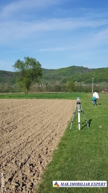 teren-extravilan-8000-mp-in-vladesti-arges-ideal-pentru-investitii-agricole-3
