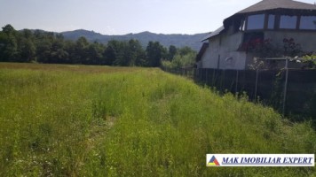 teren-extravilan-8000-mp-in-vladesti-arges-ideal-pentru-investitii-agricole-1