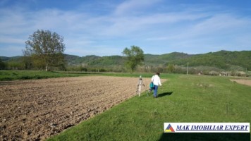 teren-extravilan-8000-mp-in-vladesti-arges-ideal-pentru-investitii-agricole-2