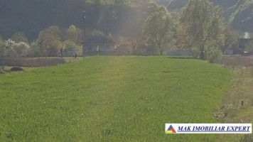 teren-extravilan-8000-mp-in-vladesti-arges-ideal-pentru-investitii-agricole-4