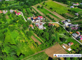 teren-extravilan-223-ha-in-vladesti-arges-ideal-pentru-agricultura-si-investitii