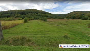 teren-extravilan-223-ha-in-vladesti-arges-ideal-pentru-agricultura-si-investitii-1