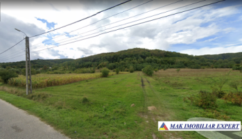 teren-extravilan-223-ha-in-vladesti-arges-ideal-pentru-agricultura-si-investitii-2
