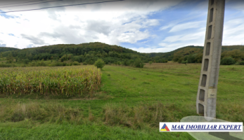 teren-extravilan-223-ha-in-vladesti-arges-ideal-pentru-agricultura-si-investitii-3