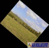 teren-de-vanzare-7800-mp-extravilan-in-cretisoara-campulung-muscel-arges