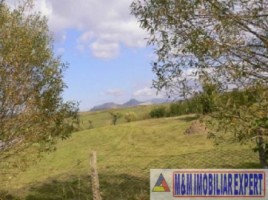teren-de-vanzare-7800-mp-extravilan-in-cretisoara-campulung-muscel-arges-2