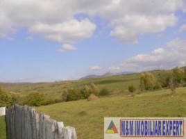 teren-de-vanzare-7800-mp-extravilan-in-cretisoara-campulung-muscel-arges-4