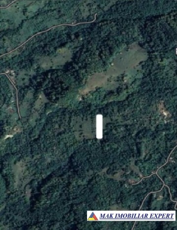 teren-de-vanzare-1-ha-extravilan-in-valea-barbusii-chilii-campulung-muscel-arges-potential-agricol-si-investitional-2