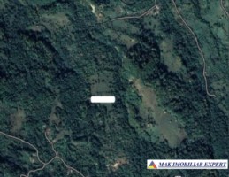 teren-de-vanzare-1-ha-extravilan-in-valea-barbusii-chilii-campulung-muscel-arges-potential-agricol-si-investitional-3