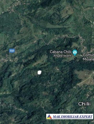 teren-de-vanzare-1-ha-extravilan-in-valea-barbusii-chilii-campulung-muscel-arges-potential-agricol-si-investitional