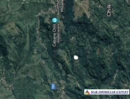 teren-de-vanzare-1-ha-extravilan-in-valea-barbusii-chilii-campulung-muscel-arges-potential-agricol-si-investitional-1