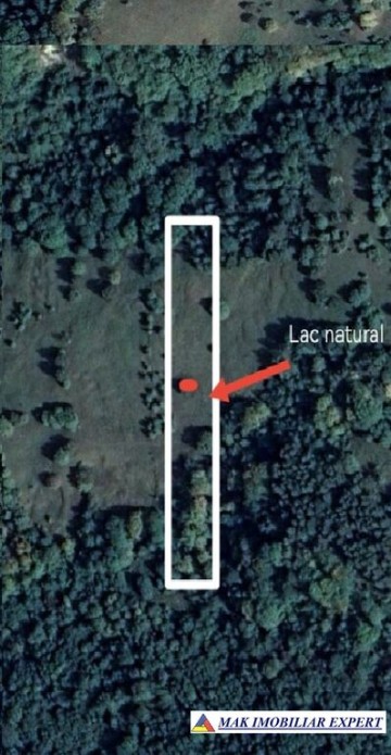teren-de-vanzare-1-ha-extravilan-in-valea-barbusii-chilii-campulung-muscel-arges-potential-agricol-si-investitional-4