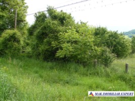teren-intravilan-de-4000-mp-in-apa-sarata-campulung-muscel-arges-ideal-pentru-dezvoltare-rezidentiala-sau-industriala-3